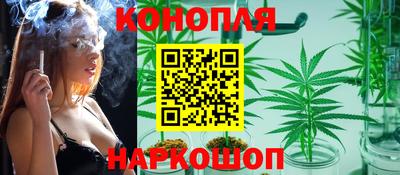 прущие крисы Канаш