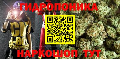 дмт Кандалакша