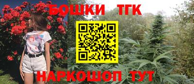 дмт Кандалакша