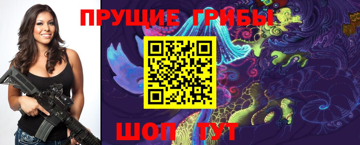 Псилоцибиновые грибы Cubensis Ливны