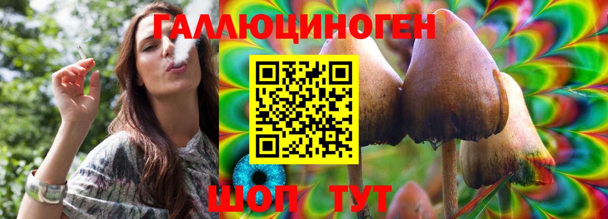Псилоцибиновые грибы MAGIC MUSHROOMS  Вход с VPN  Ливны  магазин  наркотиков  Псилоцибиновые грибы Cubensis 
