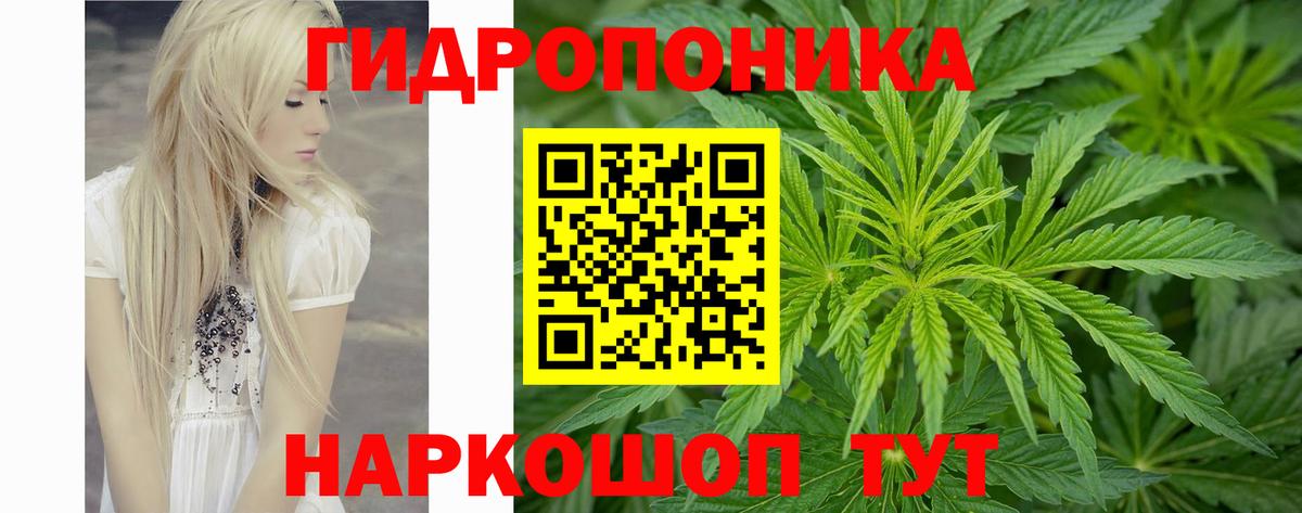 МАРИХУАНА OG Kush  Марихуана ГИДРОПОН  Ливны  Вход с VPN  Каннабис SATIVA & INDICA 